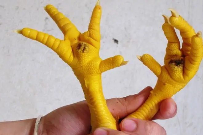 Bật Mí Ý Nghĩa Các Tướng Chân Gà Cúng Đầu Năm Và Cách Xem Chuẩn Xác