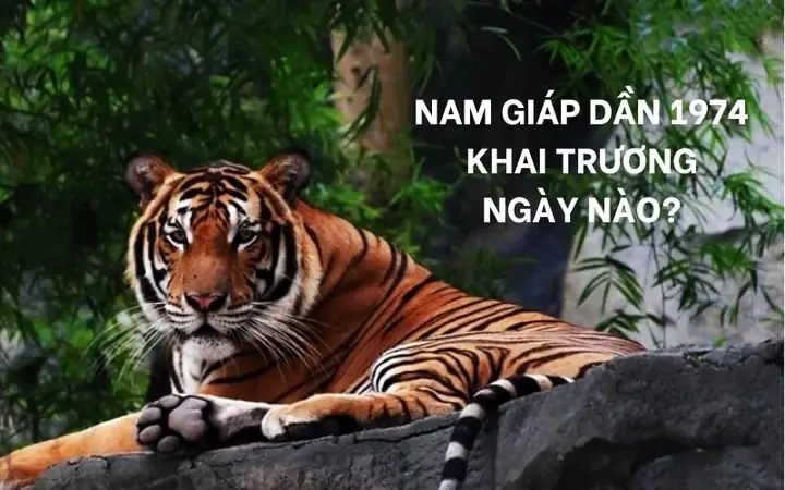 Xem Ngày Cúng Sao Cho Tuổi Giáp Dần 1974: Hướng Dẫn Chi Tiết Và Chính Xác