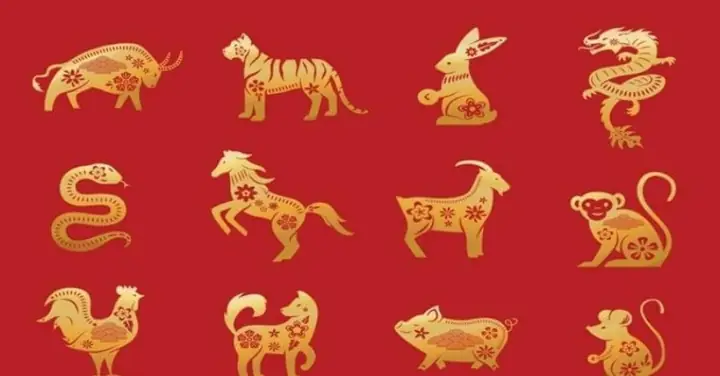 Xem Ngày Cúng Tam Tai: Những Nguyên Tắc Và Cách Tính Chuẩn Nhất Cho Gia Chủ