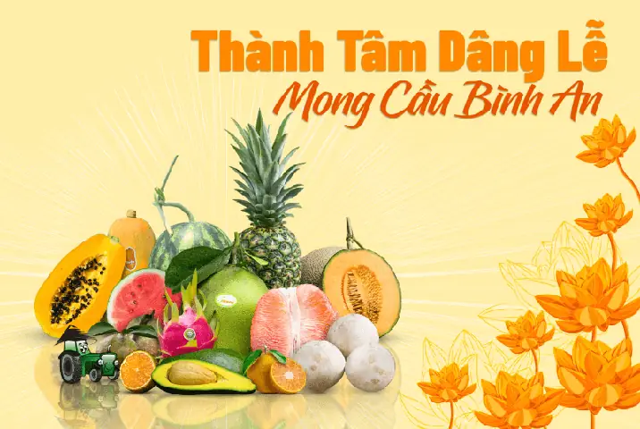 Ý Nghĩa Của Dưa Lưới Trong Thờ Cúng Và Những Điều Bạn Cần Biết