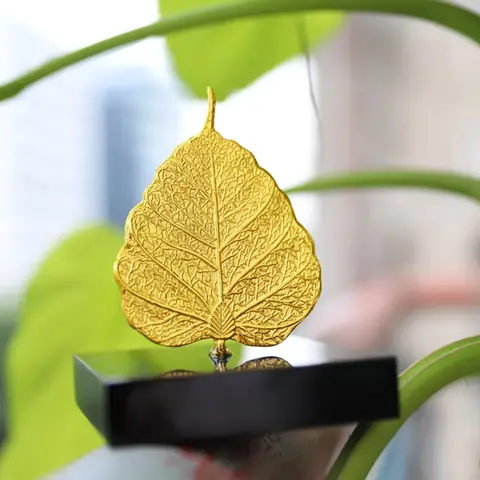 Cẩm Nang Toàn Tập Về Ý Nghĩa Cúng Cô Hồn Tháng 7 Âm Lịch