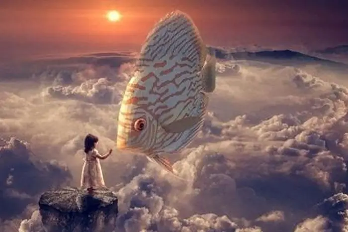 Giải Mã Ý Nghĩa Giấc Mơ Bắt Được Cá: Điềm Báo Gì & Con Số May Mắn