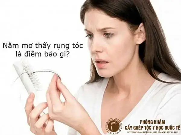 Giải Mã Ý Nghĩa Giấc Mơ Bị Hói Đầu: Từ Góc Nhìn Khoa Học Đến Tâm Linh