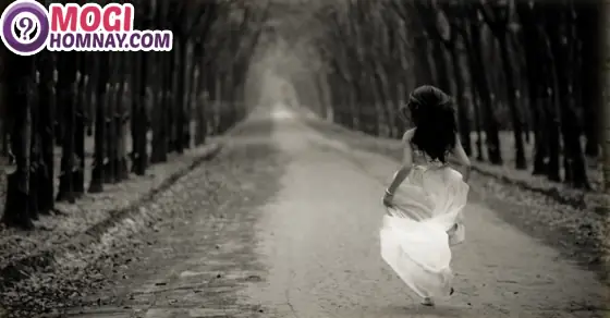 Giải Mã Ý Nghĩa Giấc Mơ Bị Rượt Đuổi: Điềm Báo Gì Và Những Con Số May Mắn