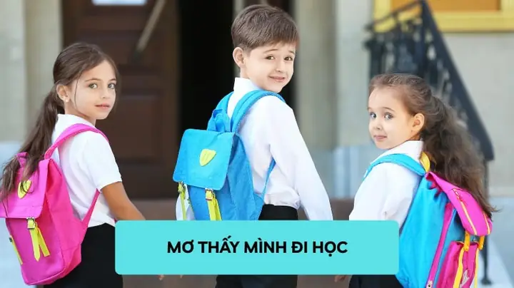 Giải Mã Ý Nghĩa Giấc Mơ Đi Học Bị Dò Bài: Thông Điệp Từ Tiềm Thức