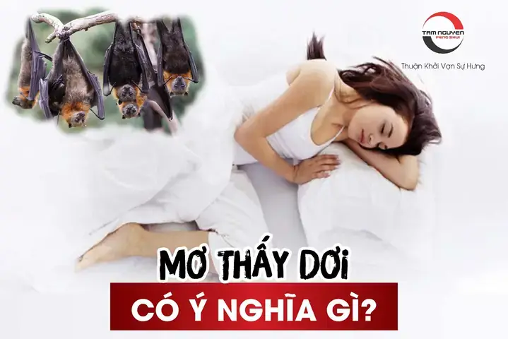 Giải Mã Ý Nghĩa Giấc Mơ Thấy Con Dòi: Điềm Báo Gì Và Con Số May Mắn