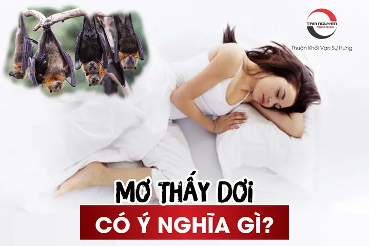 Giải Mã Ý Nghĩa Giấc Mơ Thấy Con Dòi: Điềm Báo Gì Và Con Số May Mắn