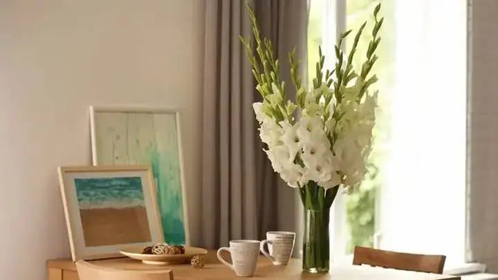 Ý Nghĩa Hoa Lay Ơn Khi Dâng Lên Cúng Tổ