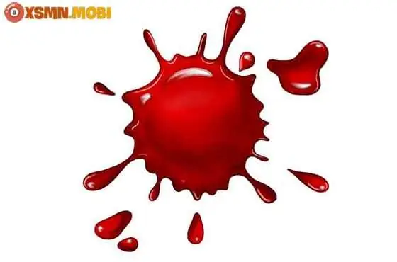 Máu Số Đề Là Gì? Tổng Hợp Ý Nghĩa Và Bộ Số May Mắn Chi Tiết