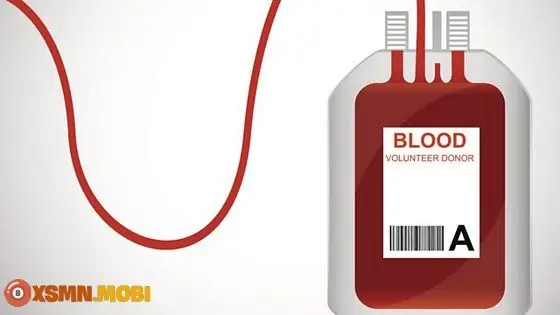 Máu Số Đề Là Gì? Tổng Hợp Ý Nghĩa Và Bộ Số May Mắn Chi Tiết