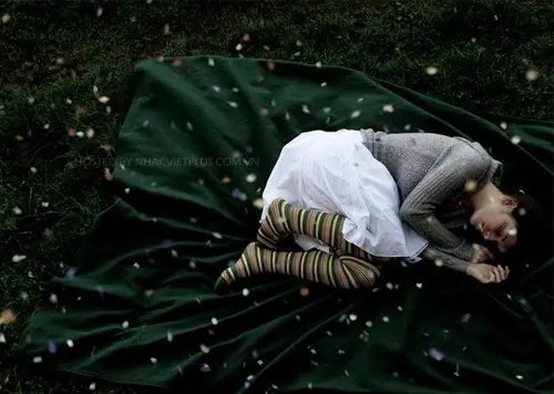 Giấc Mơ Họp Quốc Hội: Giải Mã Ý Nghĩa Tâm Lý Và Bí Ẩn Con Số