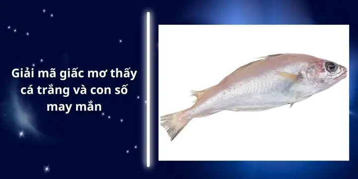 Giải Mã Giấc Mơ Phong Thủy Việt: Hướng Dẫn Toàn Diện Từ A Đến Z