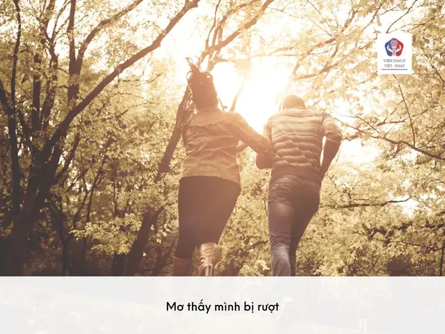 Đánh Giá Chi Tiết Giair Max Giấc Mơ: Sản Phẩm Hỗ Trợ Giấc Ngủ Thực Sự Hay Chỉ Tiếng Vang?