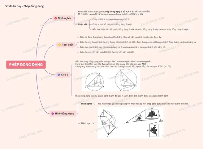 Mơ Thấy Bạn Thân Chết Là Điềm Gì? Giải Mã Ý Nghĩa Khoa Học