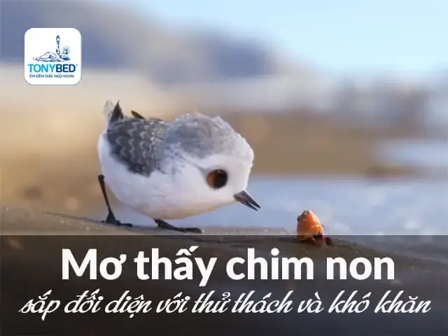 Mơ Bắt Được Chim Non: Ý Nghĩa Tổng Quan Và Giải Mã Chi Tiết