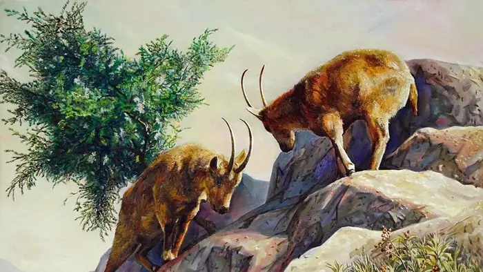 Giấc Mơ Gặp Thần Tượng: Giải Mã Ý Nghĩa Từ Góc Độ Tâm Lý Học