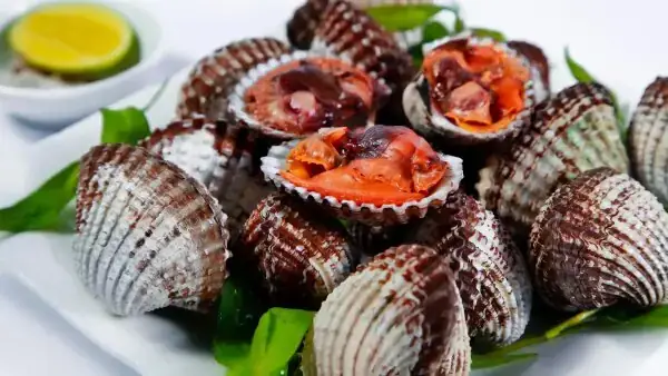 Mơ Thấy Ăn Sò Là Gì? Ý Nghĩa Toàn Diện Và Điềm Báo Thực Tế