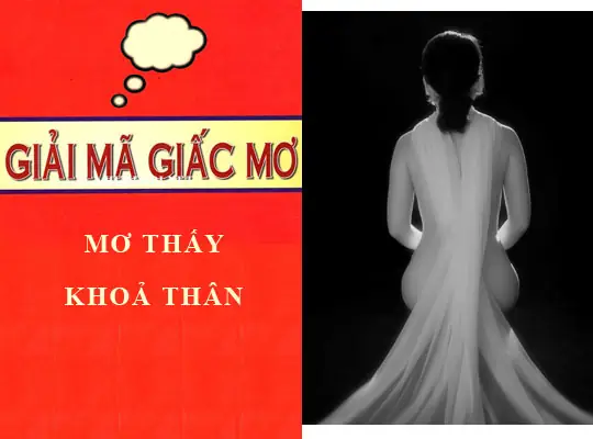 Giấc Mơ Về Bắp Ngô: Biểu Tượng Của Sự Sung Túc Và Những Dự Báo Đời Sống Cần Biết