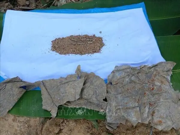 Mơ Thấy Bốc Hài Cốt Là Gì? Giải Mã Ý Nghĩa Tâm Linh & Tâm Lý