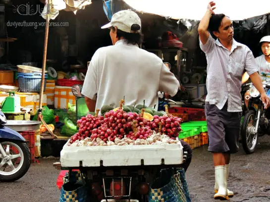 Giấc Mơ Thấy Cá Diếc: Ý Nghĩa, Điềm Báo Và Con Số May Mắn