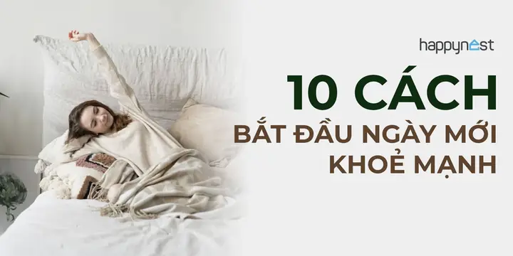 Giải Mã Giấc Mơ Thấy Cá: Ý Nghĩa Tâm Lý, Điềm Báo Và Con Số May Mắn