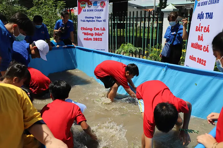 Mơ Thấy Cá Trên Cạn: Giải Mã Ý Nghĩa Từ Tiềm Thức