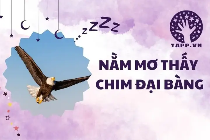 Giấc Mơ Thấy Chim Đại Bàng: Ý Nghĩa Tâm Linh, Khoa Học Và Điềm Báo Toàn Diện