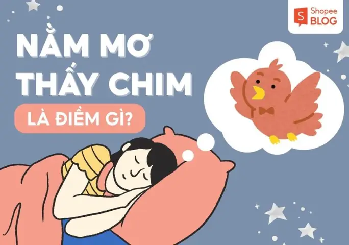 Mơ Thấy Chim Bô Câu Màu Xanh: Ý Nghĩa Và Lời Khuyên
