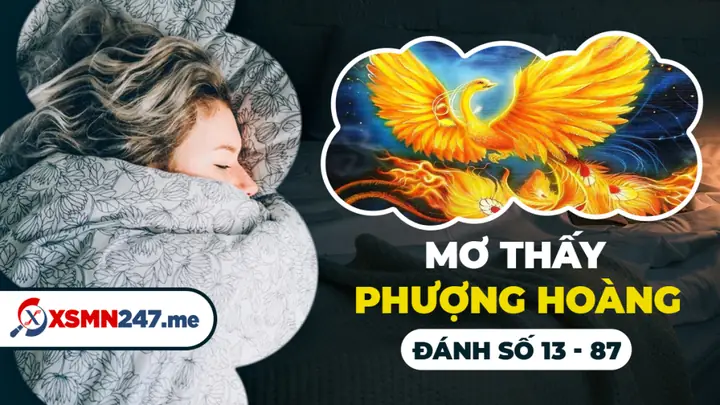 Mơ Thấy Phượng Hoàng: Ý Nghĩa Biểu Tượng, Điềm Báo Và Bí Quyết Cải Vận Thực Tế
