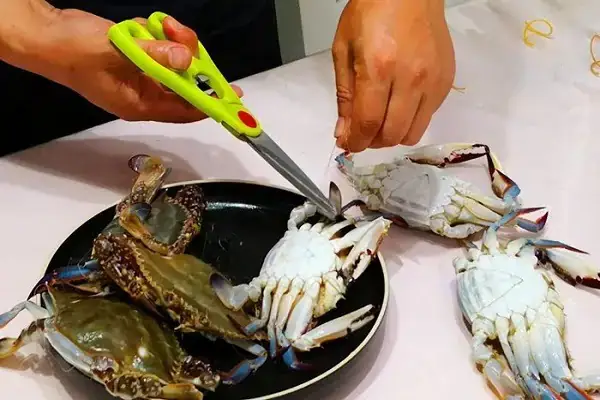 Mơ Thấy Con Ghẹ: Ý Nghĩa Phong Thủy, Tâm Lý Và Số May Mắn Đầy Đủ Nhất