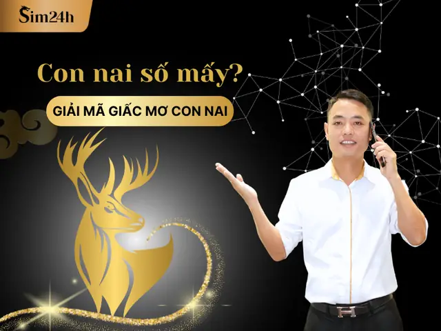Mơ Thấy Con Nai: Tổng Hợp Ý Nghĩa Và Thông Điệp Từ Giấc Mơ