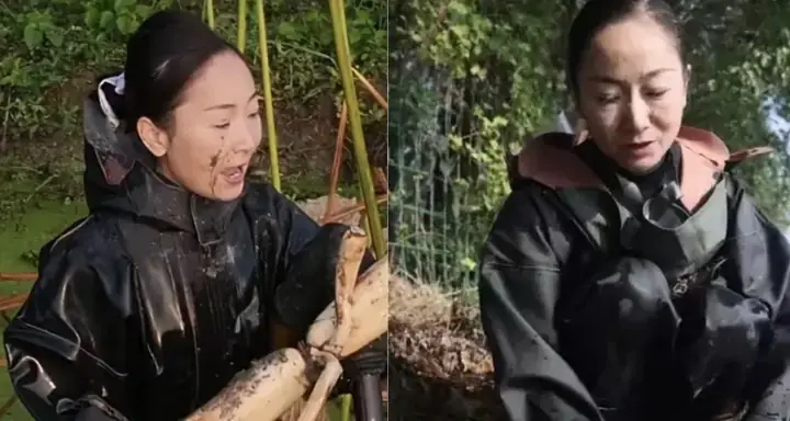 Giấc Mơ Đào Củ Sen: Giải Mã Ý Nghĩa Tâm Linh Và Thông Điệp Cuộc Sống