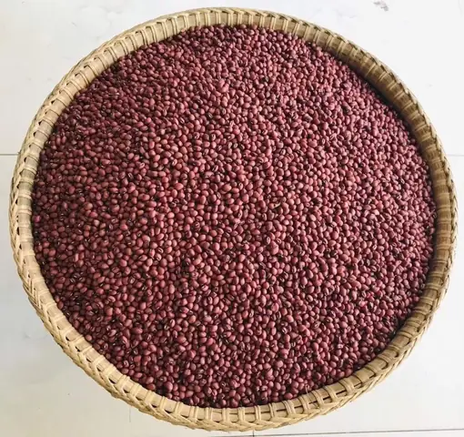 Mơ Thấy Đậu Đỏ: Giải Mã Ý Nghĩa Từ Biểu Tượng Đến Thông Điệp Tâm Lý