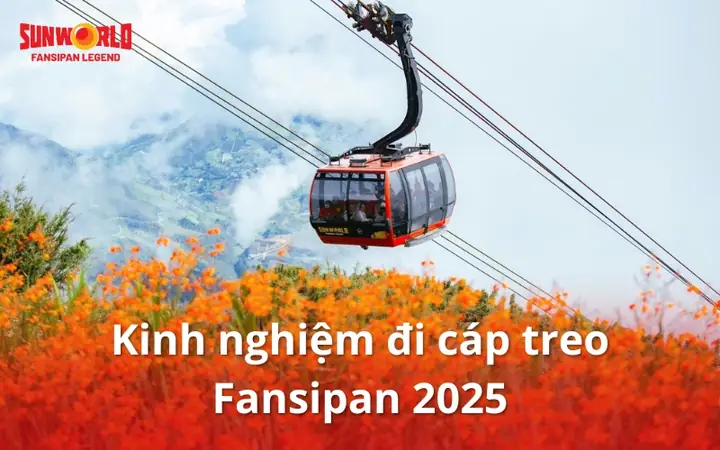 Mơ Thấy Đi Cáp Treo: Giải Mã Ý Nghĩa Từ Thực Tế Đến Trực Giác