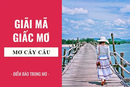 Giấc Mơ Đi Qua Cầu Gỗ: Giải Mã Ý Nghĩa Tâm Linh Và Dấu Hiệu Thực Tế