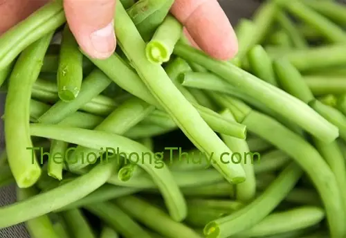 Mơ Thấy Hái Đậu Cô Ve: Ý Nghĩa Tích Cực, Con Số May Mắn Và Phân Tích Chi Tiết