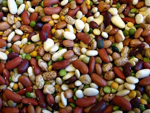 Mơ Thấy Hái Đậu Cô Ve: Ý Nghĩa Tích Cực, Con Số May Mắn Và Phân Tích Chi Tiết