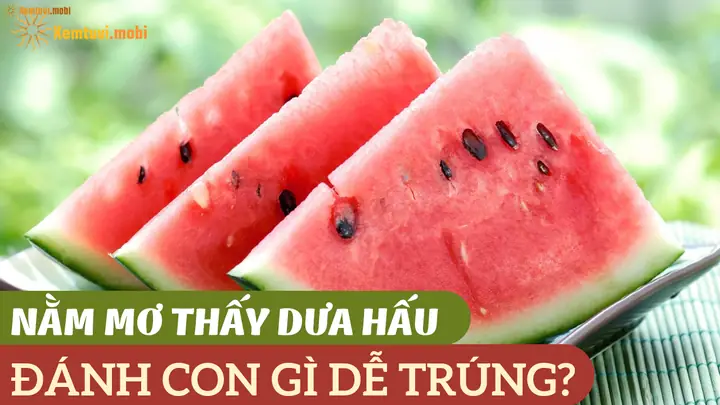 Mơ Thấy Hạt Dưa Hấu: Giải Mã Ý Nghĩa Tâm Linh Và Dự Báo Thực Tế