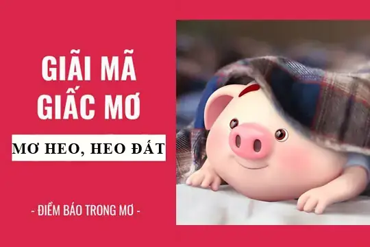 Mơ Thấy Heo Đất Bị Vô: Giải Mã Ý Nghĩa Và Cách Ứng Phó Thực Tế