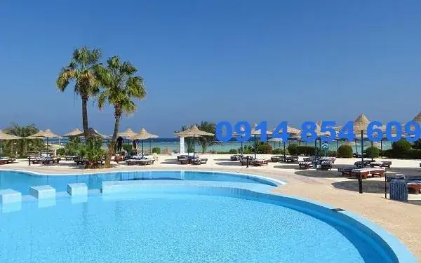 Mơ Thấy Hồ Bơi: Giải Mã Ý Nghĩa Tâm Lý Và Thông Điệp Từ Tiềm Thức