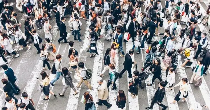 Giấc Mơ Lớp Học Đông Người: Ý Nghĩa Và Những Điều Cần Biết