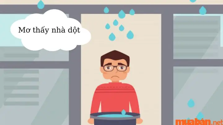 Giấc Mơ Mái Nhà Bị Thủng: Ý Nghĩa Tâm Linh Và Lời Khuyên Thực Tế