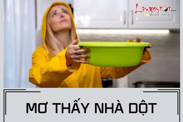 Giấc Mơ Mái Nhà Bị Thủng: Ý Nghĩa Tâm Linh Và Lời Khuyên Thực Tế