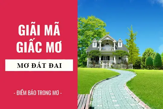 Mơ Thấy Mảnh Đất Rộng: Ý Nghĩa Tâm Lý, Văn Hóa Và Góc Nhìn Thực Tiễn