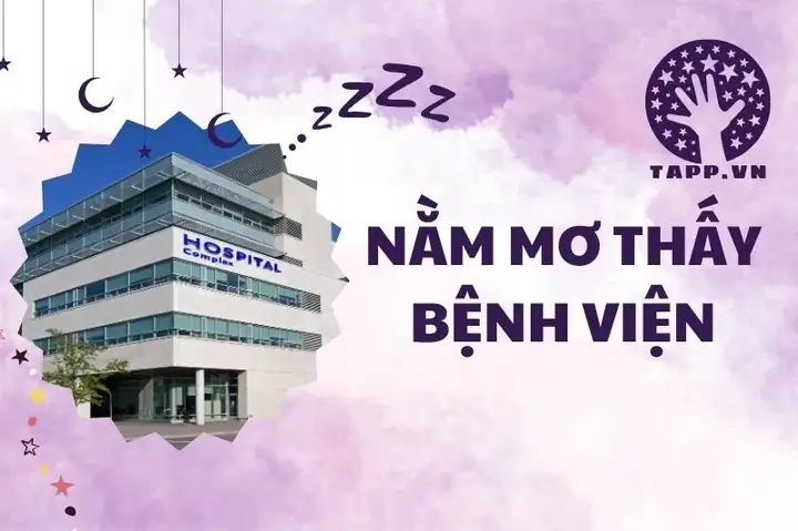 Mơ Thấy Mình Nằm Viện: Ý Nghĩa, Điềm Báo Và Cách Ứng Xử Khoa Học