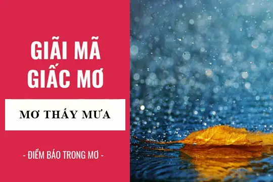 Giấc Mơ Về Mưa Bão: Ý Nghĩa Và Điềm Báo Từ A Đến Z