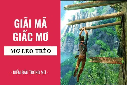 Mơ Thấy Người Khác Trèo Cây Là Điềm Gì? Giải Mã Ý Nghĩa Tâm Lý & Dân Gian