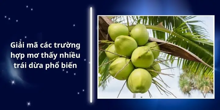 Mơ Thấy Nhiều Trái Dừa: Ý Nghĩa Tâm Linh, Số May Mắn Và Góc Nhìn Khoa Học