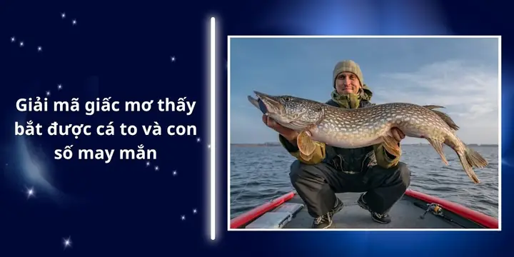 Mơ Thấy Nhiều Trái Dừa: Ý Nghĩa Tâm Linh, Số May Mắn Và Góc Nhìn Khoa Học