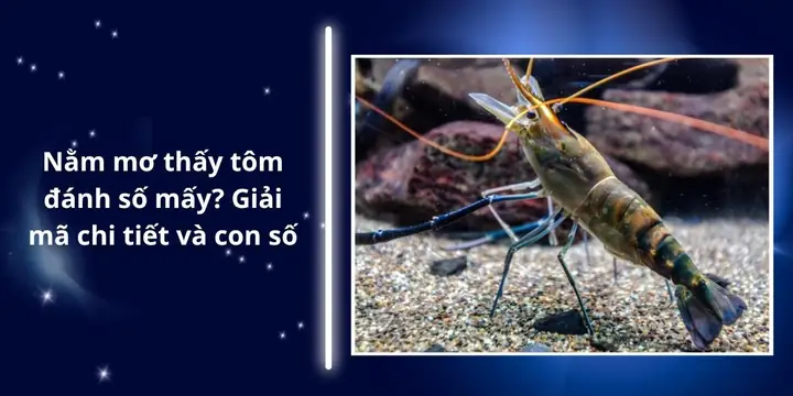 Mơ Thấy Nhiều Trái Dừa: Ý Nghĩa Tâm Linh, Số May Mắn Và Góc Nhìn Khoa Học